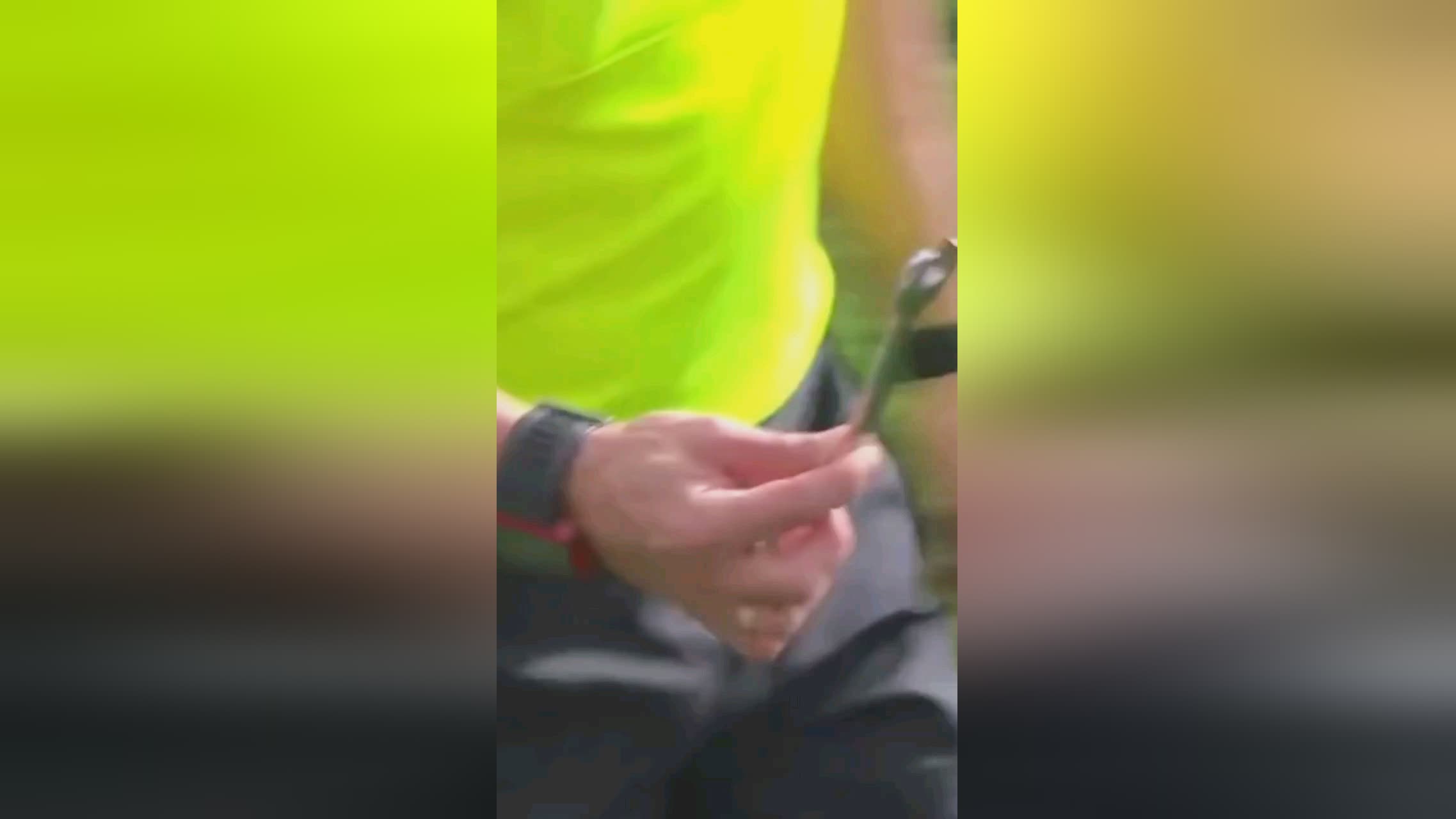实后盾在